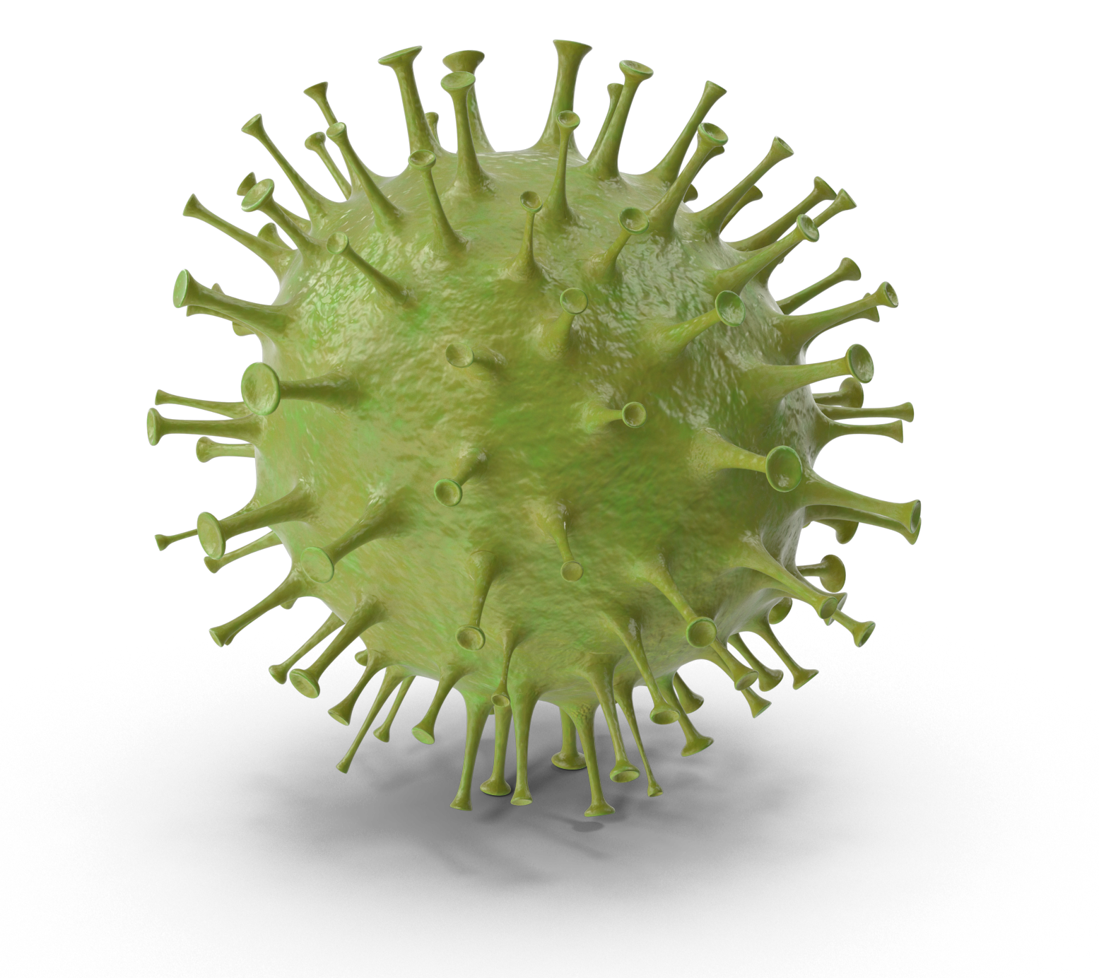 Coronavirus