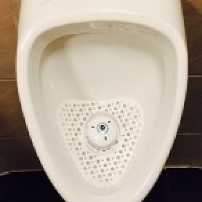 Ecobug mit Urinalmatte