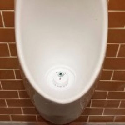 Ecobug Urinal