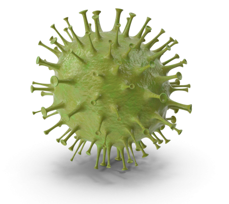 Coronavirus
